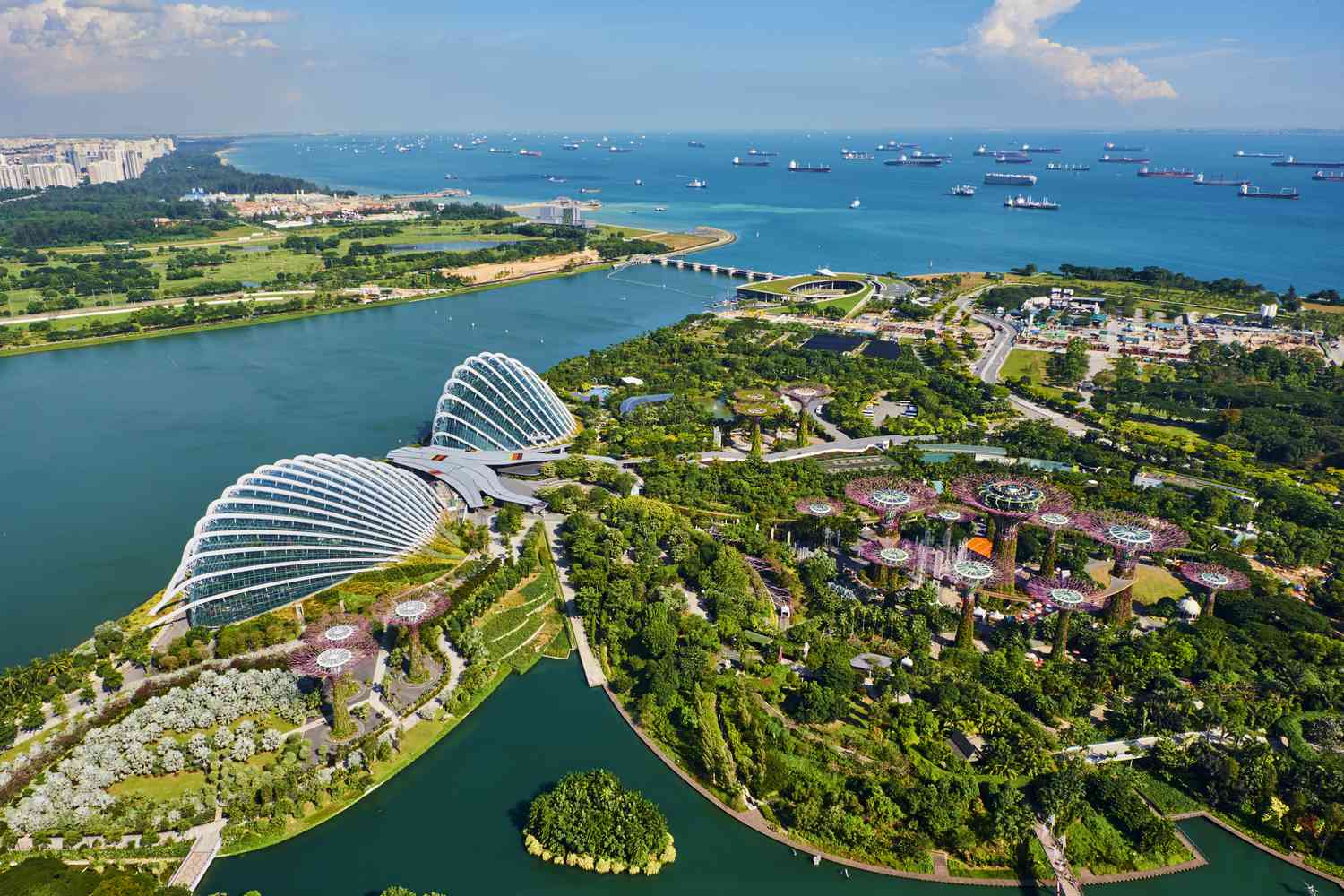 Singapore 8